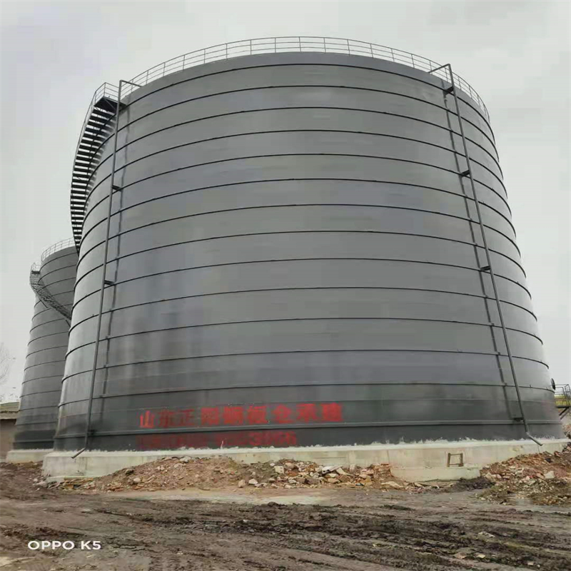 天祝3万吨大型钢板库