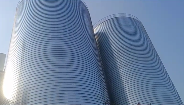 天祝2座混凝土高架卷板仓